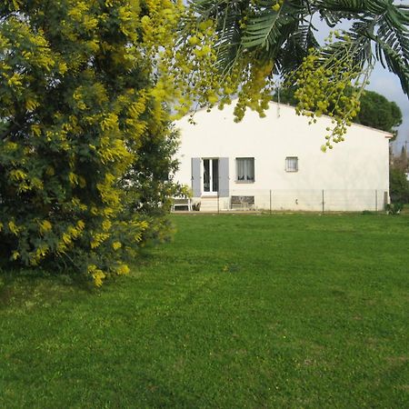 Lumineux Agreable T2 De 32M2 Apartamento La Londe-les-Maures Exterior foto